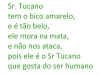 tucano-poema-leticia-cabral